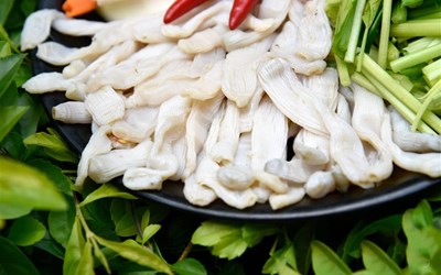 16 loại đặc sản Côn Đảo cảnh báo không nên ăn vì rất dễ “nghiền”